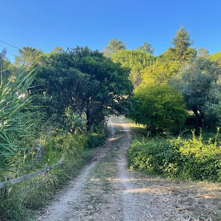 Nativo - Nature With Kitchenette And Private External Bathroom Orman Evi Nazaré