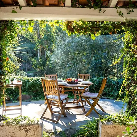 Nativo - Nature With Kitchenette And Private External Bathroom * 纳扎雷