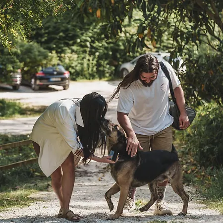 Nativo - Nature With Kitchenette And Private External Bathroom Lodge Nazaré